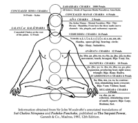 Chakric Tree