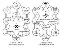 Trees of Perfection: Tree of the Way of the Alef and Tree of the Way of the Ayin